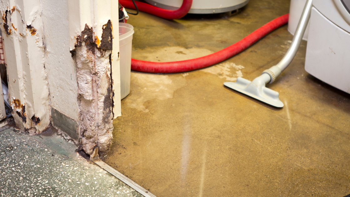 Step-by-Step Process for Water Damage Restoration